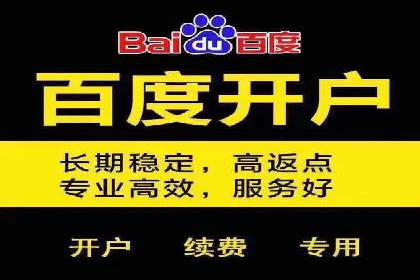 SEM托管公司案例分析：实战技巧全解析